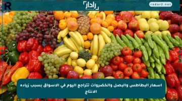 أسعار البطاطس والبصل والخضروات تتراجع اليوم في الأسواق بسبب زيادة الإنتاج